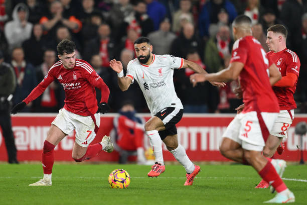 成功识别了 成功识别了